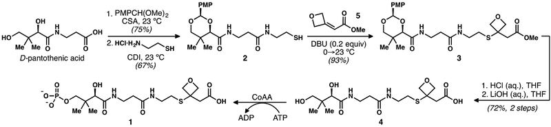 Scheme 1.