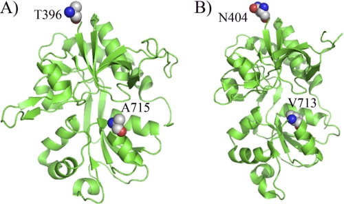 FIGURE 1.