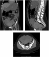 Fig. 3