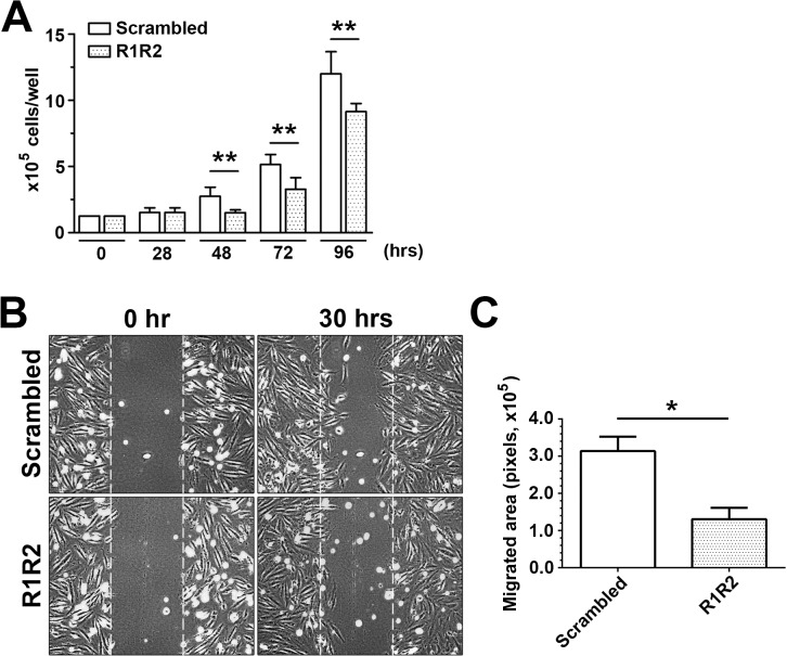 Fig 6