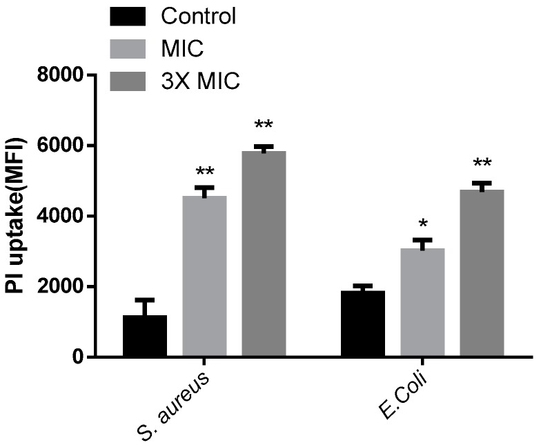 Figure 7