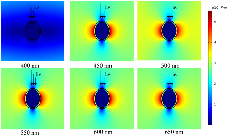 Figure 6