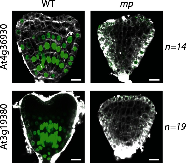 Fig. 4