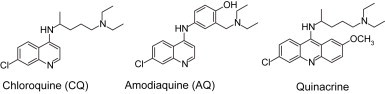 Fig. 1