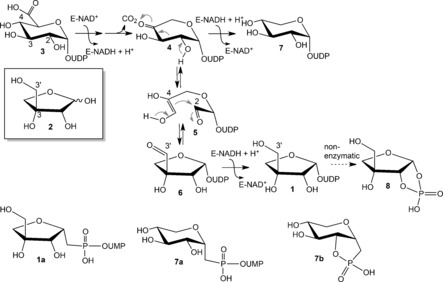 Scheme 1