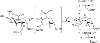 Scheme 3