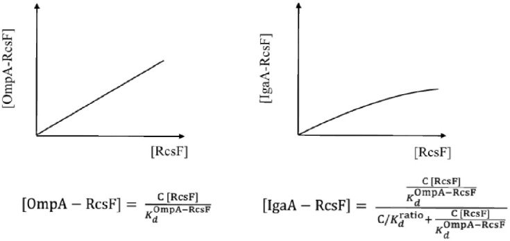 Figure 6—figure supplement 2.