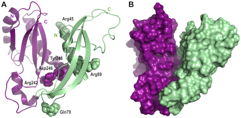 Figure 6.