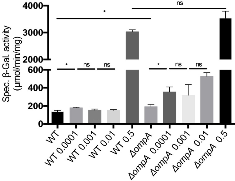 Figure 6—figure supplement 1.