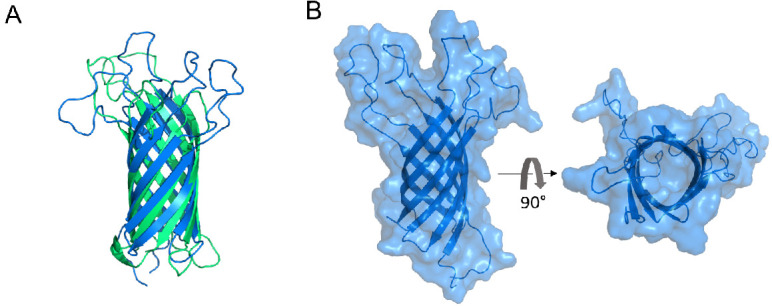 Figure 3—figure supplement 1.