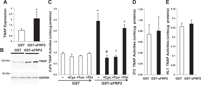 Fig. 8.