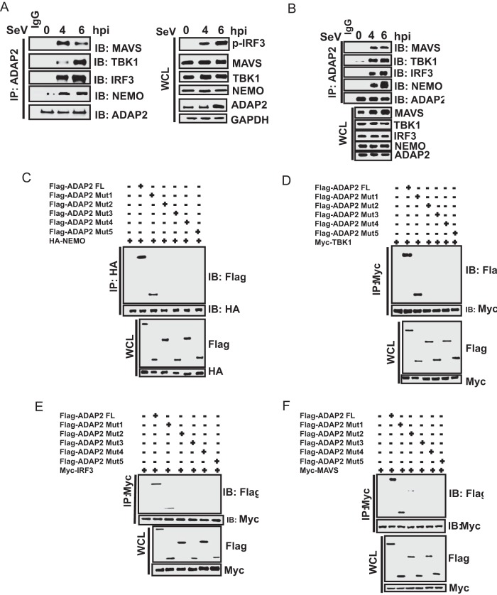 FIG 4