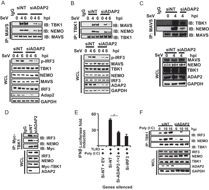 FIG 6