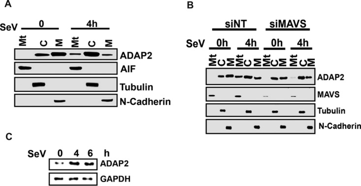 FIG 8