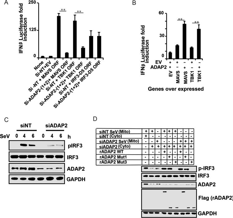 FIG 3