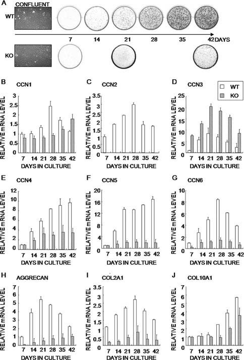 Figure FIG. 3.