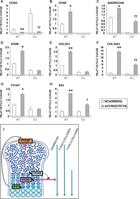 Figure FIG. 7.