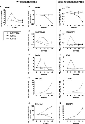 Figure FIG. 5.