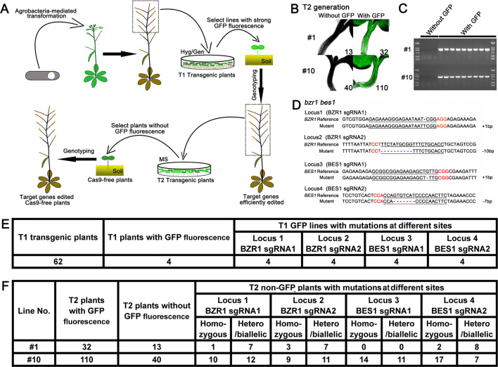 Fig. 2