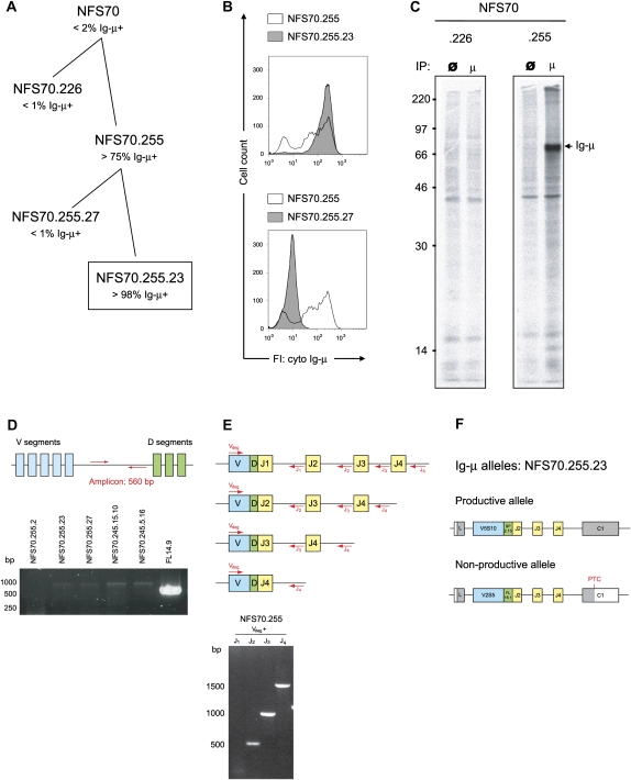 FIGURE 1.