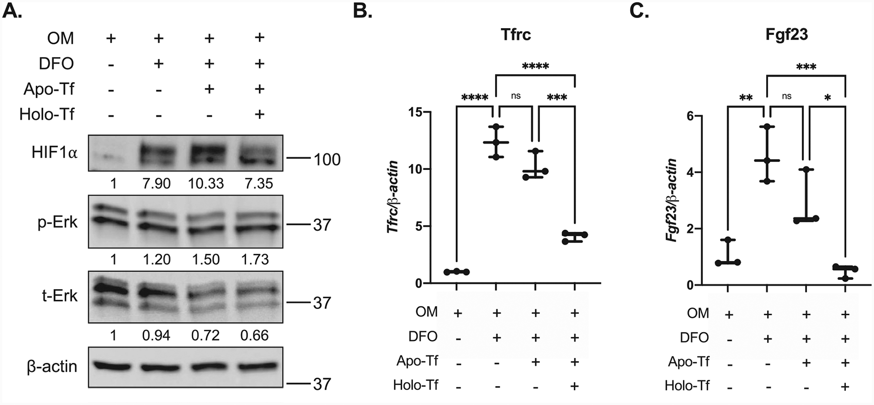 Fig 5.