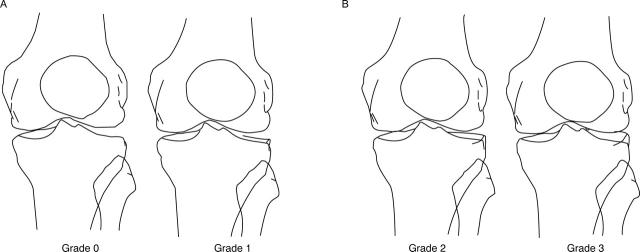 Figure 6  