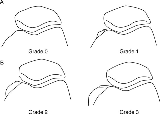 Figure 7  