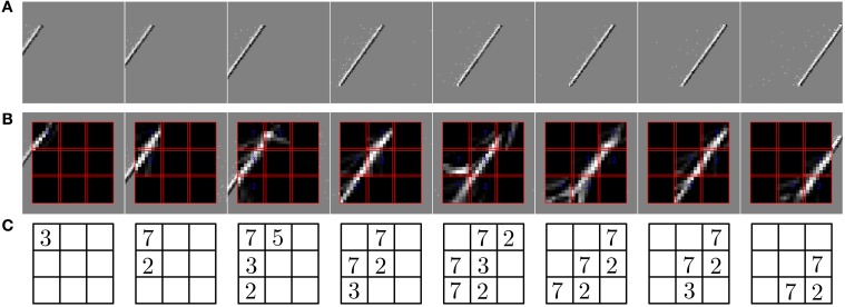 Figure 7