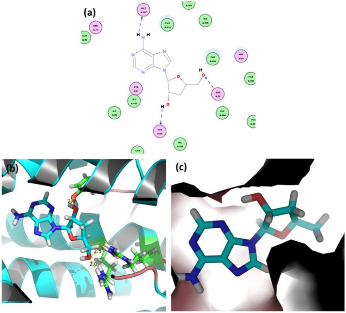 Figure 7