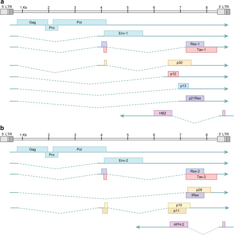 Fig. 1