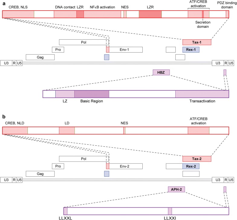 Fig. 2