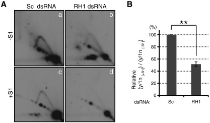 Fig. 4