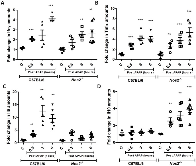 Figure 11