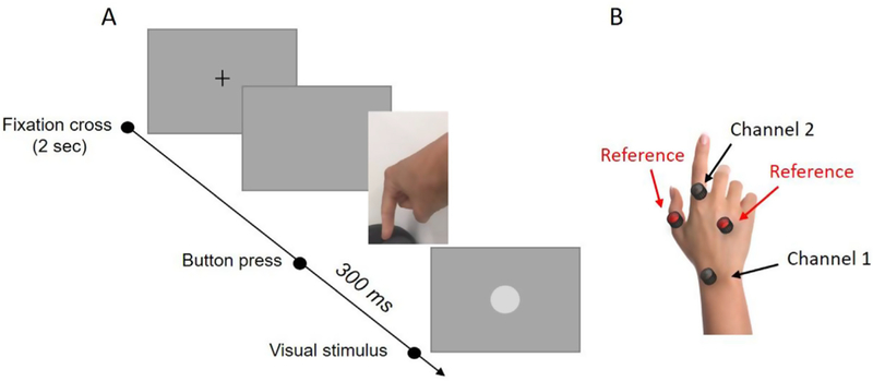 Fig. 1.