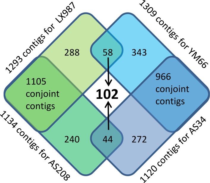 Fig 5