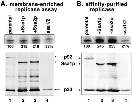 FIG. 5.