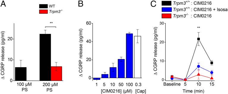 Fig. 8.