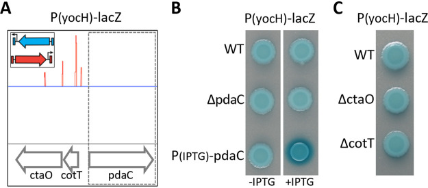 FIG 1