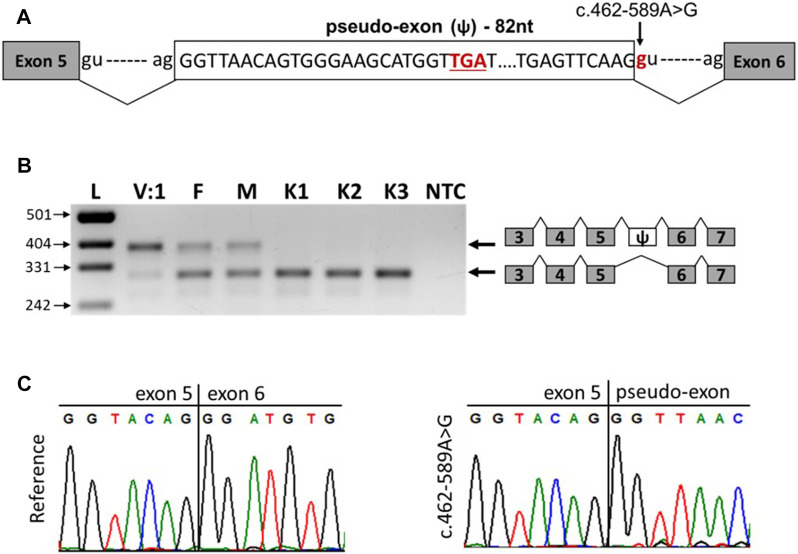 FIGURE 3