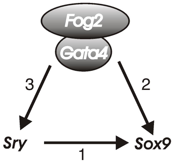 Figure 9