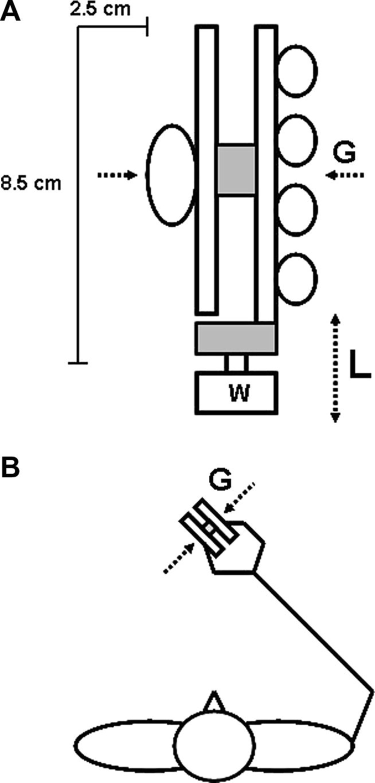 Fig. 1