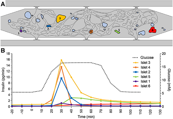 Figure 5.