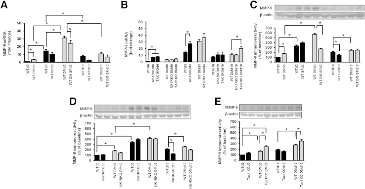 Figure 6