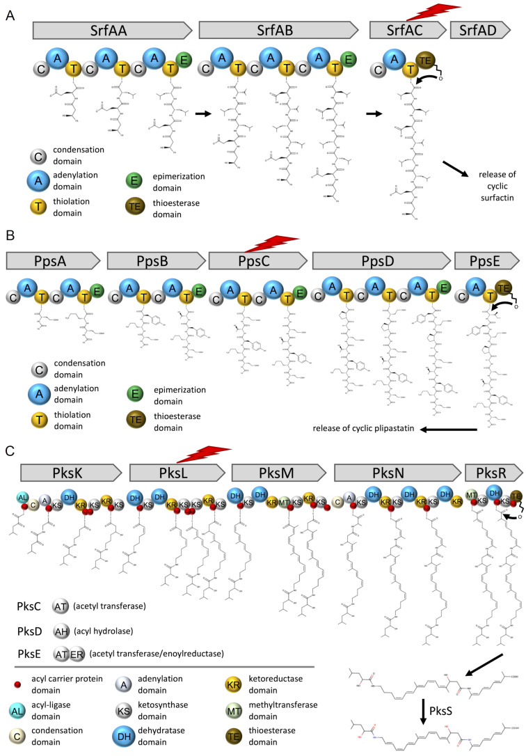 Figure 9