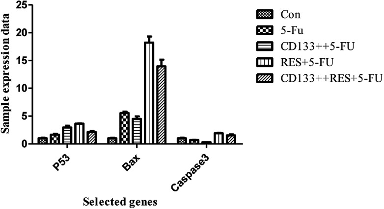 Fig. 10