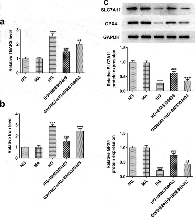 Figure 5.