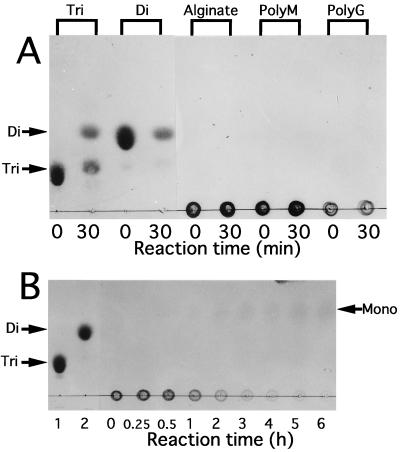 FIG. 5