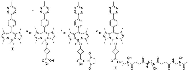 Scheme 1