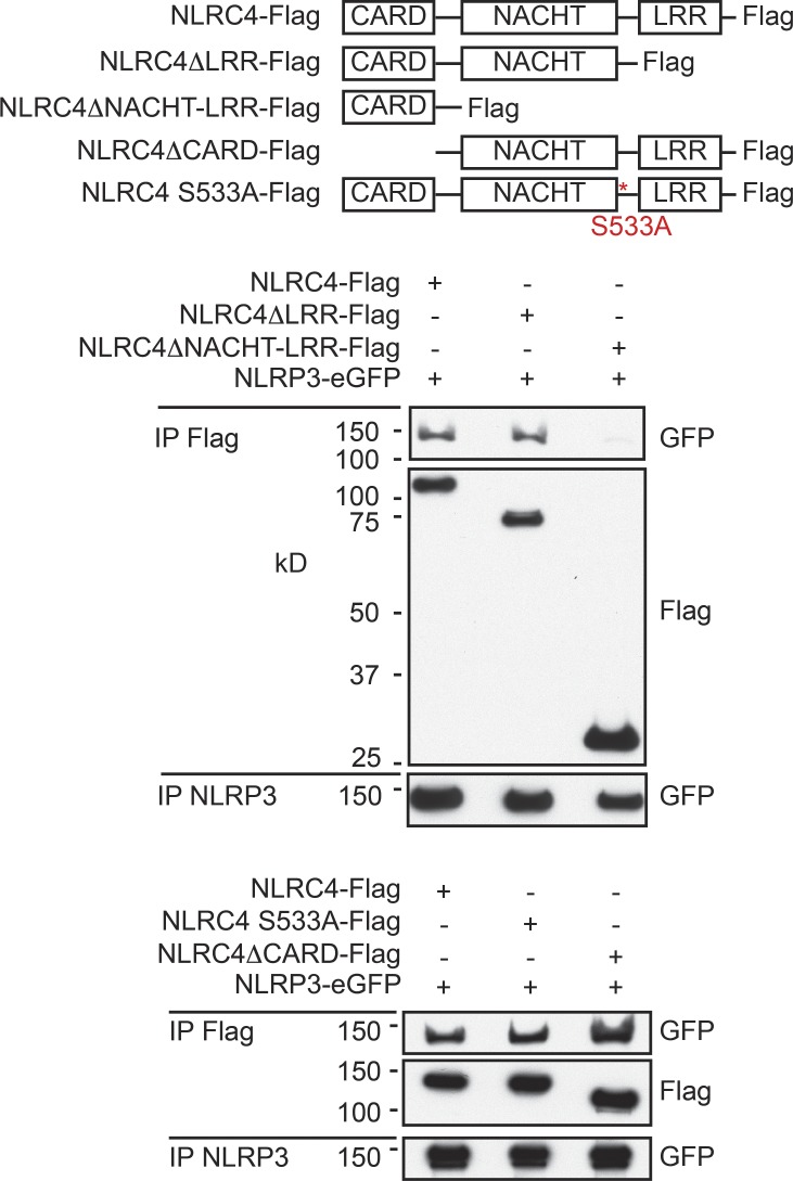 Figure 5.