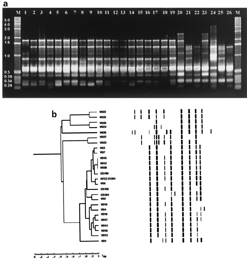 FIG. 1